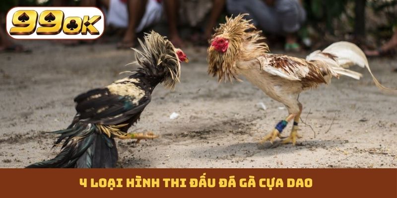 4 loại hình thi đấu đá gà cựa dao