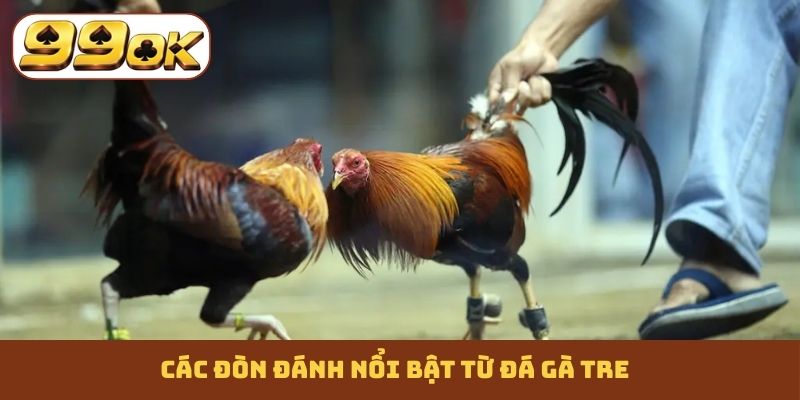 Các đòn đánh nổi bật từ đá gà tre