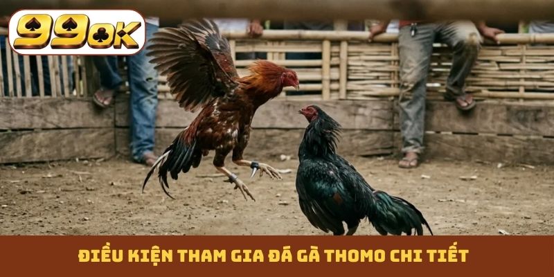 Điều kiện tham gia đá gà Thomo chi tiết