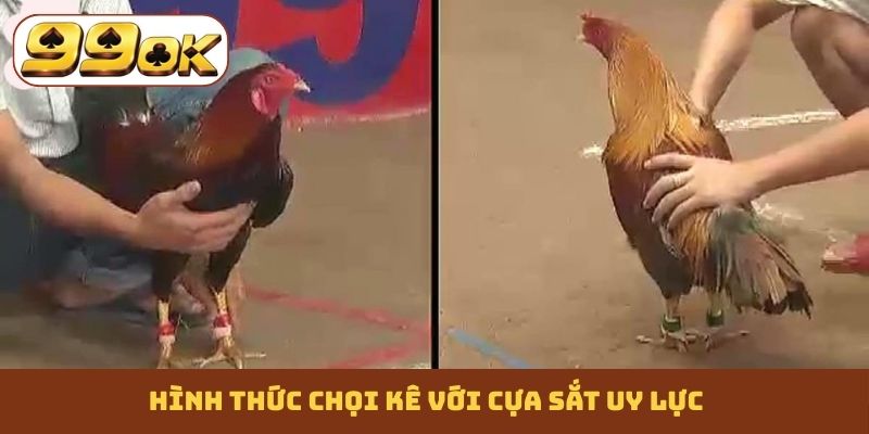 Hình thức chọi kê với cựa sắt uy lực