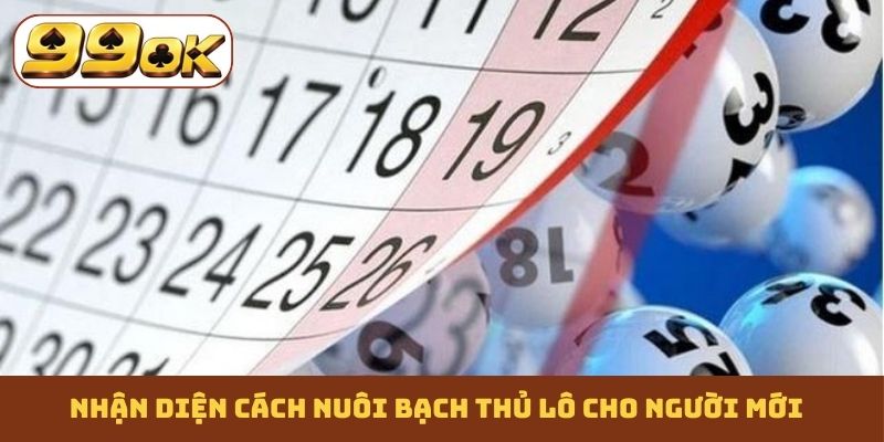 Nhận diện cách nuôi bạch thủ lô cho người mới