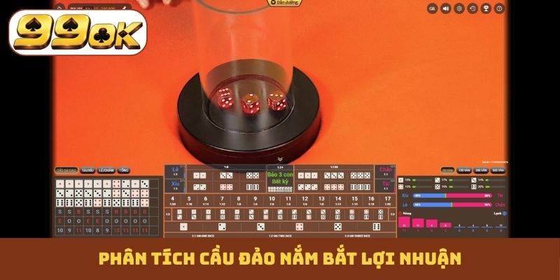 Phân tích cầu đảo nắm bắt lợi nhuận