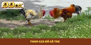 Đá gà tre